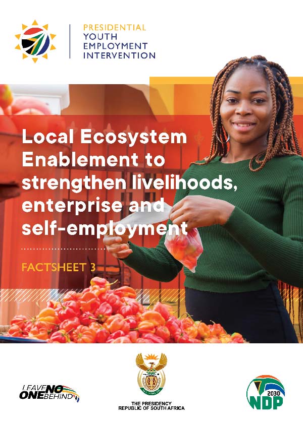 the fact sheet on Local Ecosystem Enablement